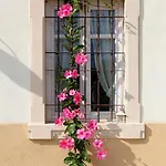 Bauernhof Casa Aurora Bussolengo