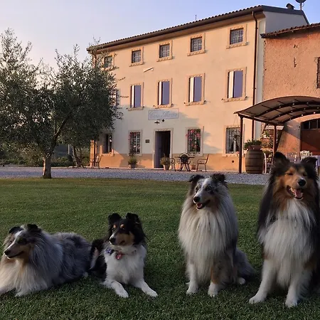 Casa Aurora Çiftlik konaklama Bussolengo