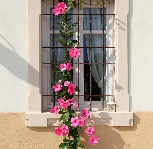 Farm stay Casa Aurora Bussolengo