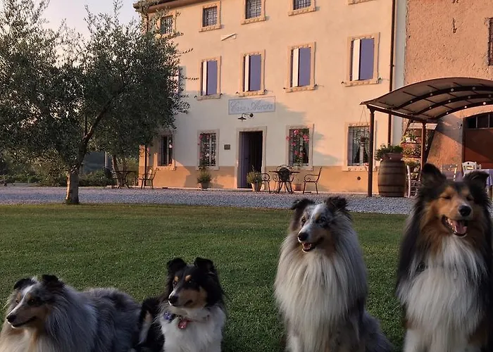 Casa Aurora Κατάλυμα σε φάρμα Bussolengo