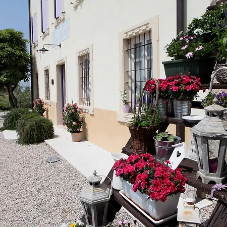 مزرعة للإقامة Casa Aurora بوسولينغو